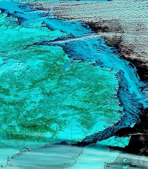 Snow and sea ice off of Newfoundland and Labrador - feature grid
